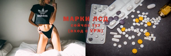 спайс Инта