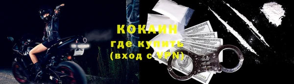 спайс Инта