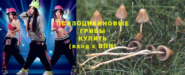 спайс Инта