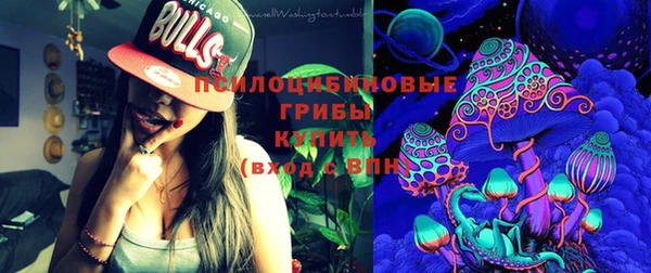 СК Инсар