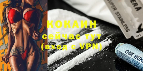спайс Инта