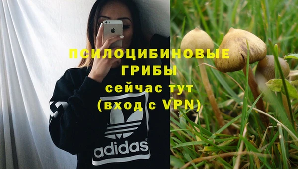 СК Инсар