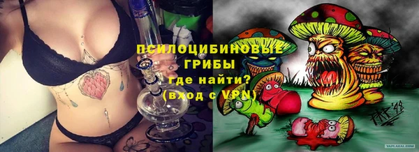 СК Инсар