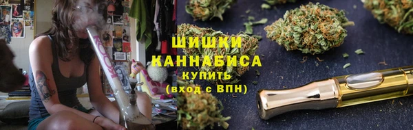 спайс Инта