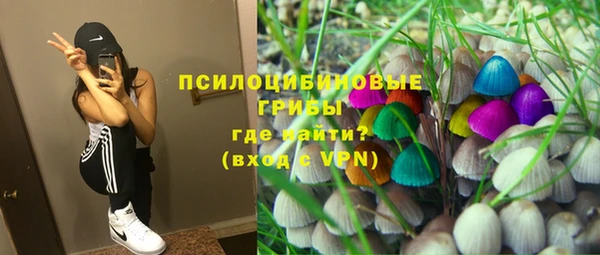 СК Инсар