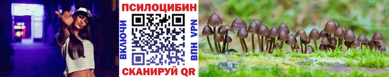 Купить где  Знаменск  Псилоцибиновые грибы Cubensis 